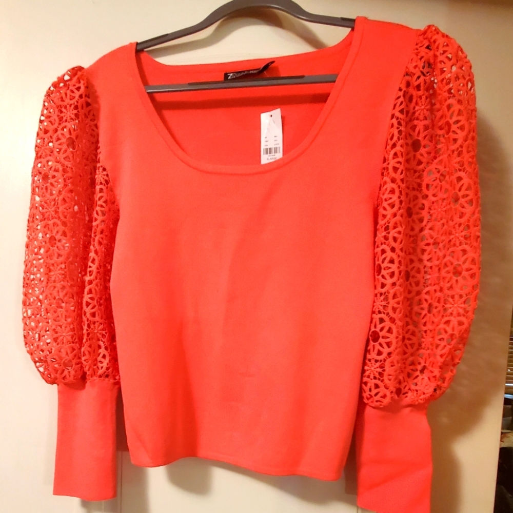 7th Avenue Design Studio Women's Top
